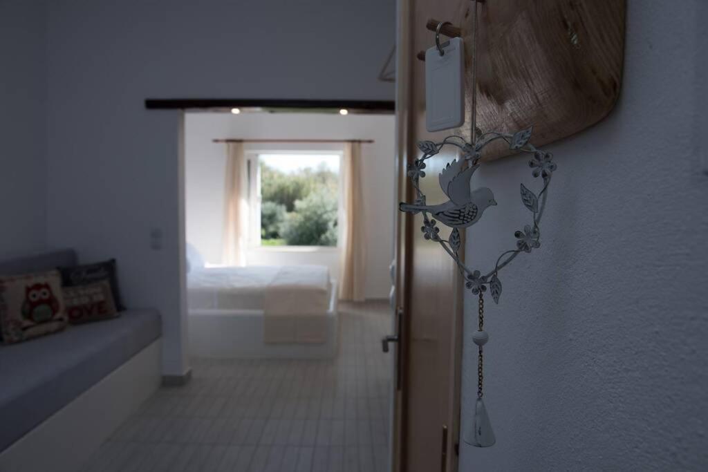 Nemesis Paleochora Apartamento Chania  Exterior foto